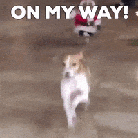 每日GIF(2020-12-19)的gif-On My Way Christmas GIF by MOODMAN