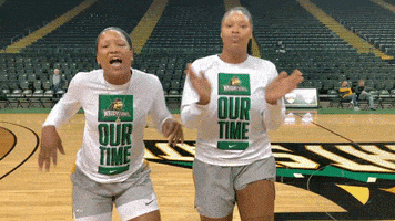 每日GIF(2020-12-19)的gif-Happy Ncaa Sports GIF by Wright State University Athletics