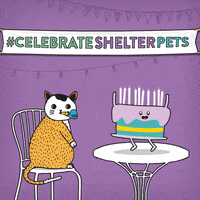 每日GIF(2020-12-19)的gif-Cat Dog GIF by Shelter Pet Project