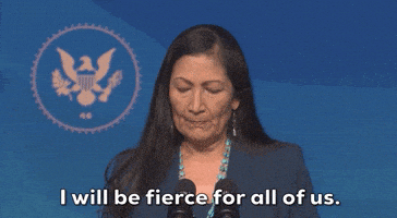每日GIF(2020-12-20)的gif-Deb Haaland GIF by Election 2020