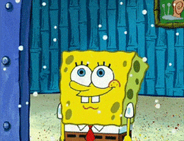 每日GIF(2020-12-20)的gif-Santa Hat Christmas GIF by SpongeBob SquarePants
