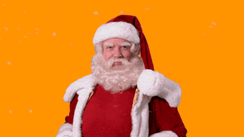 每日GIF(2020-12-21)的gif-Santa Claus Yes GIF by benniesolo