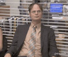 每日GIF(2020-12-21)的gif-Season 9 Reaction GIF by The Office
