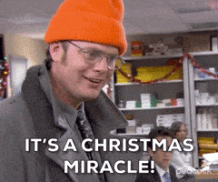 每日GIF(2020-12-22)的gif-Excited Season 3 GIF by The Office