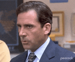 每日GIF(2020-12-23)的gif-Panicking Season 3 GIF by The Office