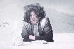 每日GIF(2020-12-24)的gif-Snow Shaking GIF by funk