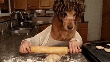 每日GIF(2020-12-25)的gif-Baking Golden Retriever GIF