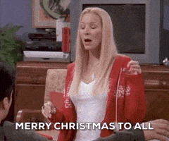 每日GIF(2020-12-26)的gif-Season 9 Christmas GIF by Friends