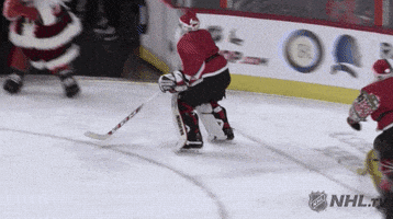 每日GIF(2020-12-26)的gif-Ice Hockey Christmas GIF by NHL