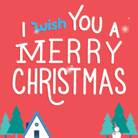 每日GIF(2020-12-26)的gif-Merry Christmas Happy Holidays GIF by Wish