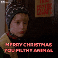 每日GIF(2020-12-26)的gif-Merry Christmas GIF by Sky