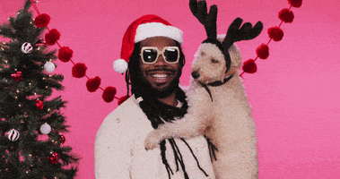 每日GIF(2020-12-26)的gif-Merry Christmas Happy Holidays GIF by DRAM