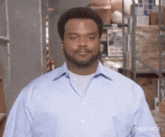 每日GIF(2020-12-27)的gif-Sarcastic Season 9 GIF by The Office