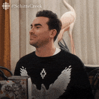 每日GIF(2020-12-27)的gif-Oh No Please GIF by CBC