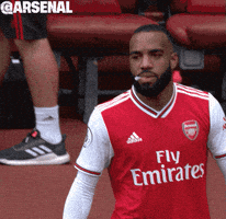 每日GIF(2020-12-27)的gif-Premier League Football GIF by Arsenal
