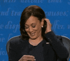 每日GIF(2020-12-27)的gif-Election 2020 Lol GIF by Joe Biden