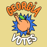 每日GIF(2020-12-29)的gif-Georgia Peach Vote GIF by INTO ACTION