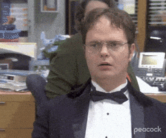 每日GIF(2020-12-29)的gif-Season 2 Omg GIF by The Office