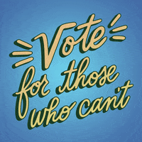 每日GIF(2020-12-29)的gif-Vote For Me Georgia GIF by Creative Courage