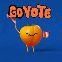 每日GIF(2020-12-30)的gif-Senate Race Election GIF by #GoVote