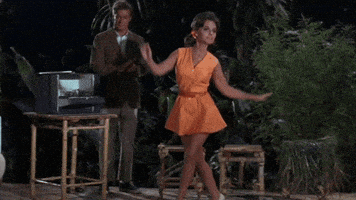 每日GIF(2020-12-31)的gif-Dawn Wells GIF