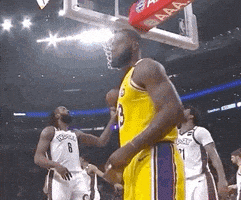 每日GIF(2020-12-31)的gif-Celebrate Lebron James GIF by ESPN