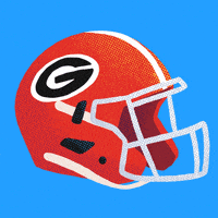 每日GIF(2021-01-02)的gif-College Football Vote GIF by Creative Courage