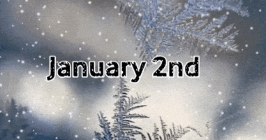 每日GIF(2021-01-03)的gif-January 2 GIF by GIF CALENDAR