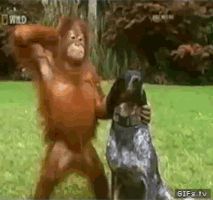 每日GIF(2021-01-03)的gif-Time Relax GIF