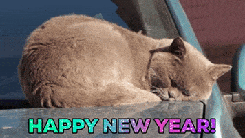 每日GIF(2021-01-04)的gif-あけましておめでとう New Year GIF by Squirrel Monkey
