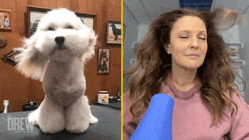 每日GIF(2021-01-04)的gif-Hot Dog GIF by The Drew Barrymore Show