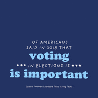 每日GIF(2021-01-05)的gif-Voting United States GIF by Living Facts