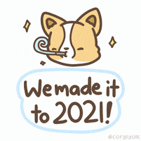 每日GIF(2021-01-05)的gif-New Year GIF by corgiyolk