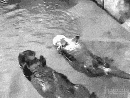 每日GIF(2021-01-06)的gif-black&white love GIF