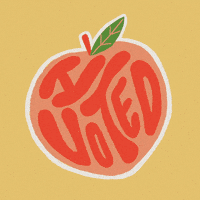 每日GIF(2021-01-06)的gif-Election Day Vote GIF by Creative Courage