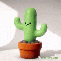 每日GIF(2021-01-06)的gif-Popping Flower Power GIF by Sam Brown Video