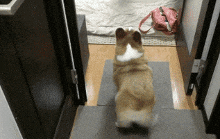 每日GIF(2021-01-06)的gif-Excited Weekend GIF