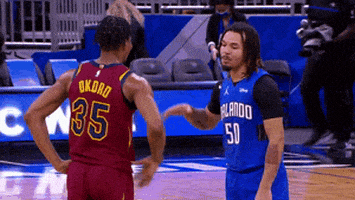 每日GIF(2021-01-08)的gif-Regular Season Hug GIF by NBA