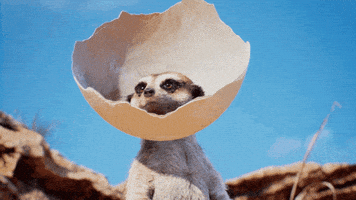 每日GIF(2021-01-10)的gif-Sniff Meerkat GIF by Unreal Engine