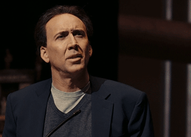 每日GIF(2021-01-10)的gif-Nicolas Cage Bullshit GIF