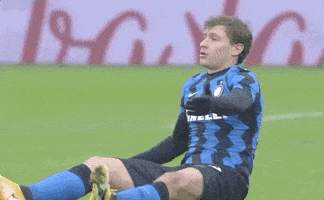 每日GIF(2021-01-11)的gif-No Way Wtf GIF