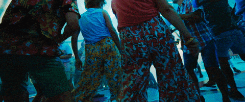 每日GIF(2021-01-15)的gif-Kristen Wiig Movie GIF by Barb & Star Go To Vista Del Mar