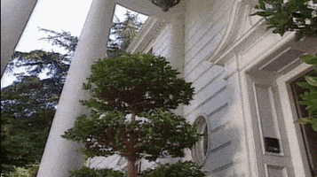 每日GIF(2021-01-16)的gif-will smith college GIF