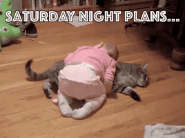 每日GIF(2021-01-17)的gif-Tired Saturday GIF