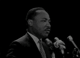 每日GIF(2021-01-17)的gif