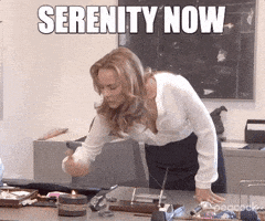 每日GIF(2021-01-18)的gif-The Office Serenity GIF