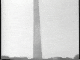 每日GIF(2021-01-19)的gif-martin luther king jr black history month GIF by Identity
