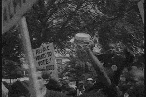 每日GIF(2021-01-19)的gif-Washington Dc Applause GIF by US National Archives
