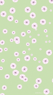 なかねありさ的gif的gif-桜満開