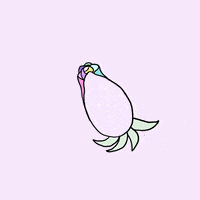 每日GIF(2021-01-20)的gif-Animation Rainbow GIF by Stefanie Shank